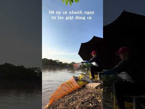 TRẢI NGHIỆM CẦN THI ĐẤU THIÊN VŨ 12H