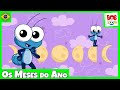 Os Meses do Ano | Bob Zoom l Vídeo Infantil Musical Oficial @BobZoom