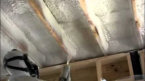 Graco Fusion Air Purge Foam Spray