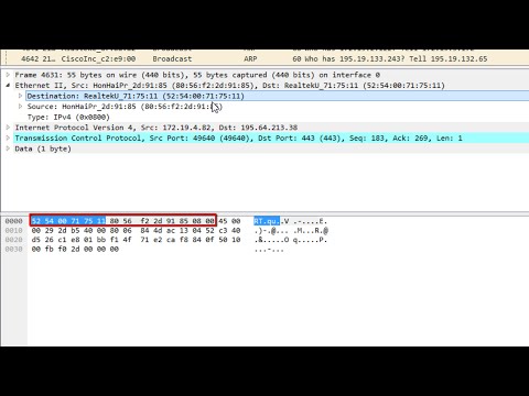 Канальный уровень в Wireshark | Практика по курсу "Компьютерные сети"