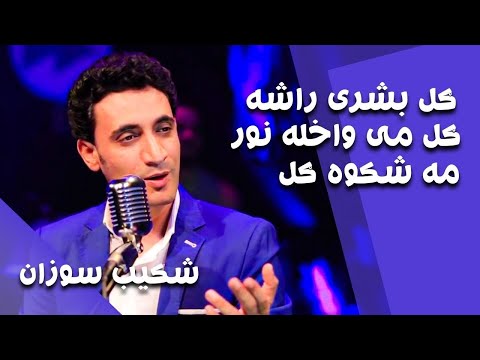 شکیب سوزان ګل بشرې همدغه ګل دې بس دی نور مه شکوه ګل Shekib Sozan Gul Bashri Hamdagha Gul De 