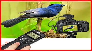 TW-283/S2 Wireless Shutter Release Timer Remote Control for Sony Digital Camera a7 Series, a7ii,a9