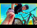 not again.... *MTB CRASH*