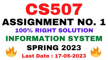 CS507 ASSIGNMENT NO. 1 SPRING 2023 || 100% RIGHT SOLUTION || INFORMATION SYSTEM || BY VuTech