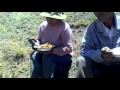 Almorzando en las Chacras de papa de Floria H Castillo Calamarca - Perú 2013