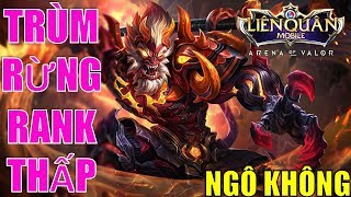 Ngộ không tăng sức mạnh đi rừng leo rank kim cương trở xuống vô cùng dễ dàng