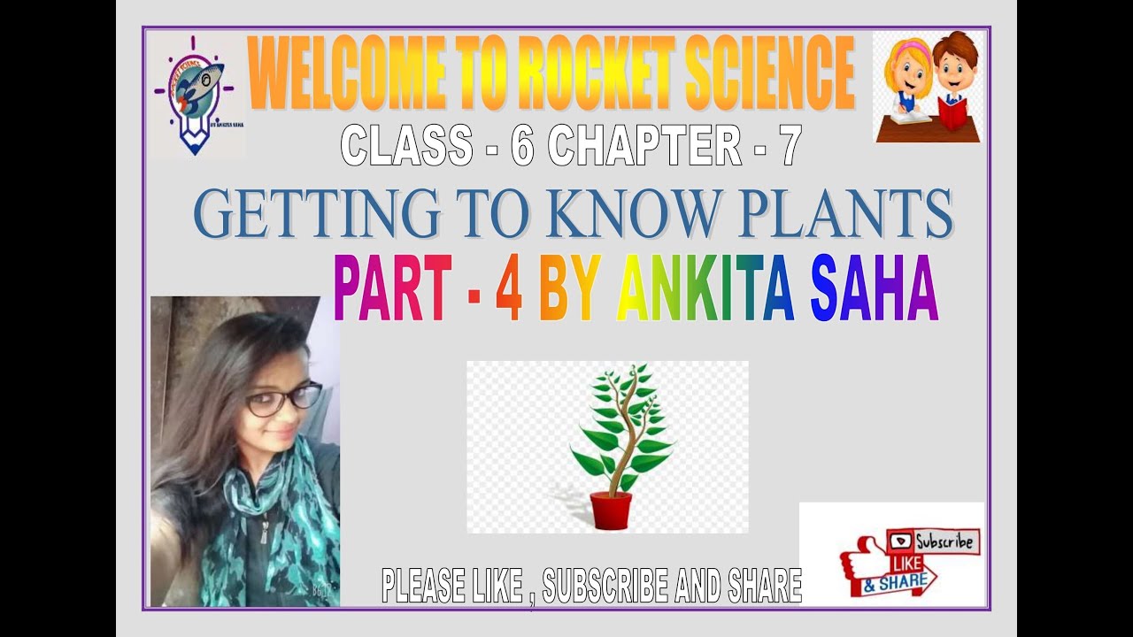 Class - 6 Science Chapter - 7 ( Getting to know plants ) Part - 4 - YouTube