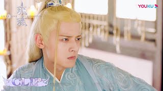 司凤与璇玑的婚后生活？！两人调教腾蛇像极了一对爹妈 | 【琉璃 Love And Redemption】| 成毅/袁冰妍/刘学义/张予曦 | 优酷 YOUKU