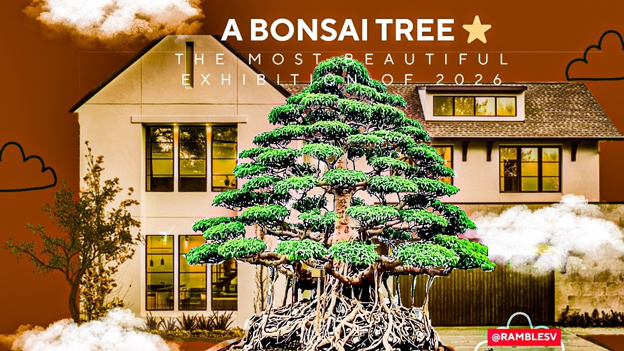 Discover the most beautiful bonsai tree at the 2026 exhibition.
