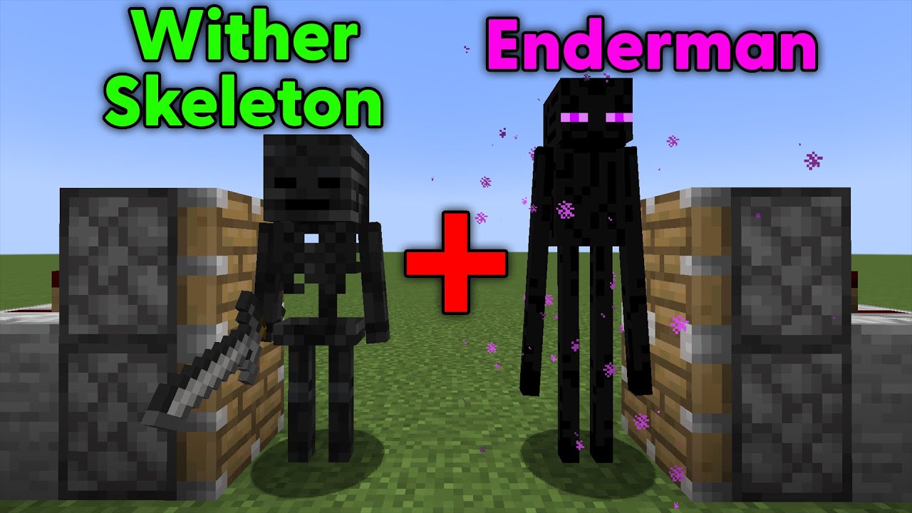 Enderman + Wither Skeleton = ?? YouTube