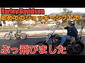 【ハーレー】危険⁉︎ ジョッキーシフト初乗りで、、、Harley Davidson