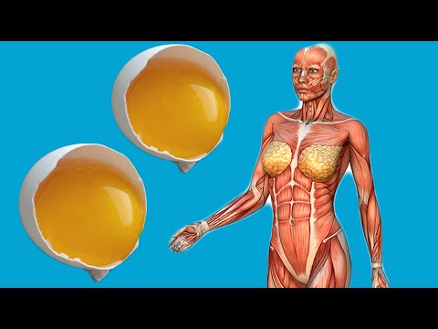 These 9 Things Happen When You Eat 2 Eggs EVERY DAY 💥 (Unbelievable) 🤯