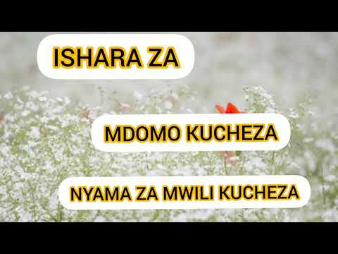 Video: Mdomo Sio Mjinga (kwa Mtu)