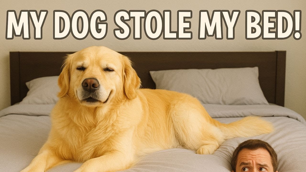 Hilarious Dog Sleeping Habits Every Owner Knows!