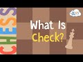 Chess Rules and Strategies