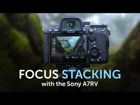 Focus Stacking with the Sony A7RV