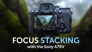 Focus Stacking with the Sony A7RV screenshot 5