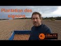 Plantation des oignons