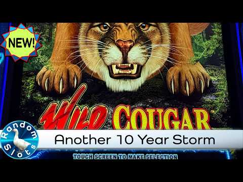Wild Cougar Slot Machine in the 10 Year Storm