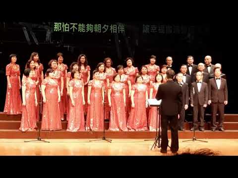 喜悅合唱團/城裡的月光