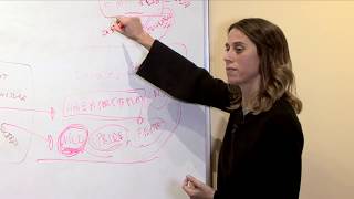 Aimee Falchuk explores Pathwork Lecture 224, Creative Emptiness