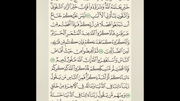 سورة البقره - الجزء ( الثاني ) - صفحة ( 31 ) - من الآية رقم ( 197 ) إلى ( 202 )