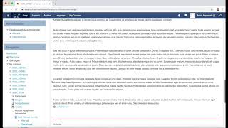 How students use the peer review activity in Loop