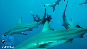 International OCEAN FILM TOUR Volume 2 | (R)EVOLUTION