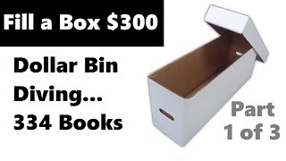 Dollar Bin Diving Fill a Box For $300 Part 1 of 3.