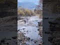 구례 산수유마을