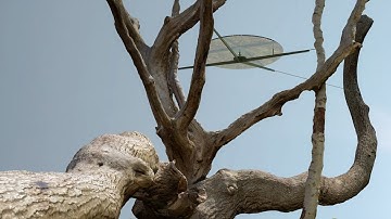 Working with 3D Scan Objects - Rhino 7