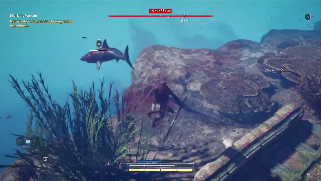 Shark The Vagrant - YouTube