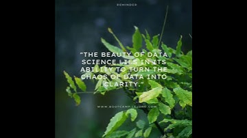 The beauty of data science lies in its ability to turn the chaos of data into clarity