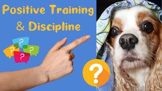 How to Discipline a Puppy Dog when You Train Positively | Should You Say No or Correct a Dog?