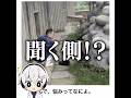 【メンケア係】殿堂入りボケてがマジでツッコミどころ満載だったwww【2515弾】