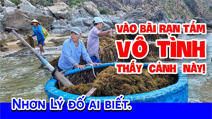 Cận cảnh lấy rong biển tại bãi rạn và ý nghĩa gì trong tháng 7 AL này? #thucphamxanh #ramthangbay