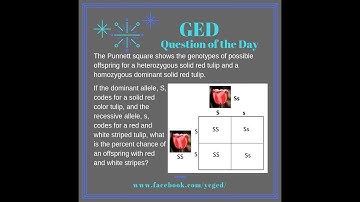 GED QOD: Heredity and Punnett Squares 5