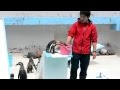 おたる水族館　ペンギンショー-2014.5.12