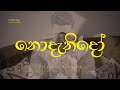 Dileesha Sandeep Nodanido න ද න ද Official Music Video
