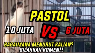 REVIEW OF CENDET PRICE 10 MILLION VS 6 MILLION IN EAST JAVA‼️