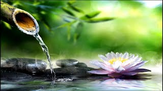 Relaxing Music to Lull You to Sleep, Healing, Strong Concentration, Calming Music, Sleep Quickly