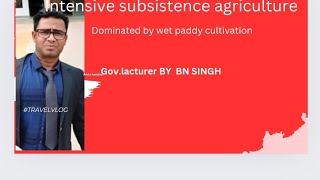 intensive subsistence agriculture dominated by wet paddy cultivation