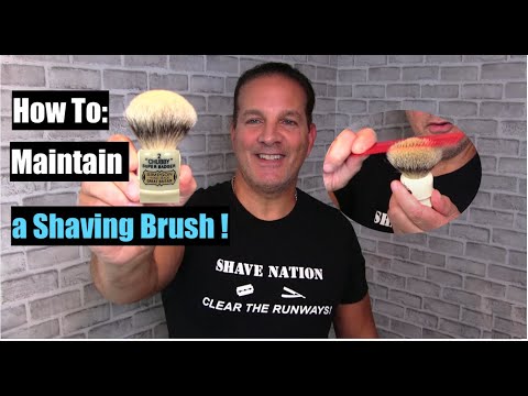 Video: 3 måder at pleje en grævling barberbørste