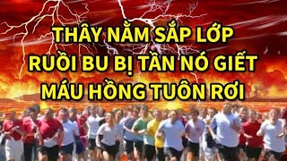 Bị Tần Nó Giết, Máu Hồng Tuôn Rơi - Sấm Tiên Tri