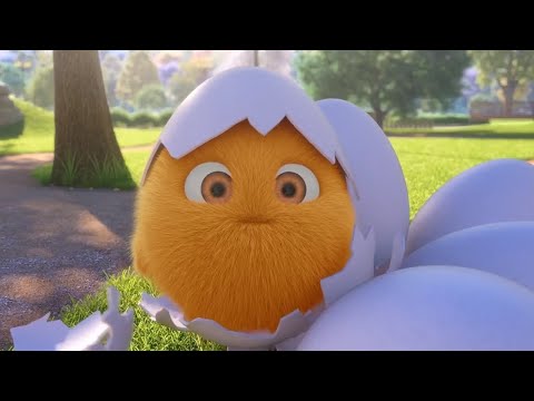 Sunny Bunnies – CONEJO POLLITO | Dibujos animados para niños | WildBrain en Español
