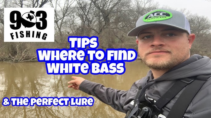 Top 5 Best White Bass Lures Review in 2023 