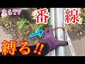 【番線】1本2本巻き込み縛りをわかりやすくプロコツを教えます‼︎明日から現場で使える‼︎締める快感！