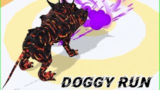 Doggy Run Gameplay  Walkthrough // very Intresting gameplay doggy run // All levels