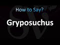 How to Pronounce Gryposuchus (Correctly!)