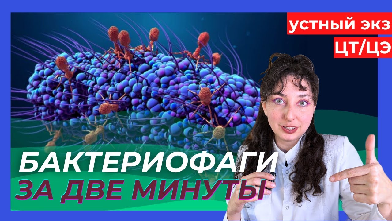 УСТНЫЙ ЭКЗАМЕН - 1 ВОПРОС: БАКТЕРИОФАГИ ЗА ДВЕ МИНУТЫ